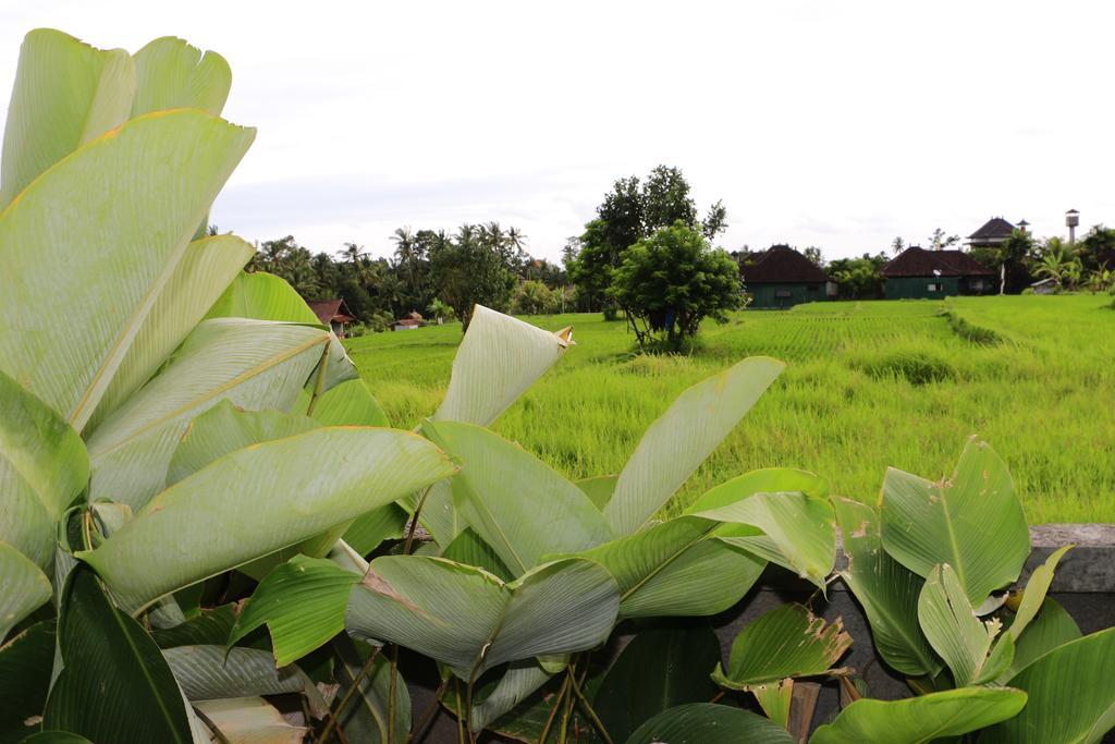 Uma Kutuh 2 Hotel Ubud  Bagian luar foto