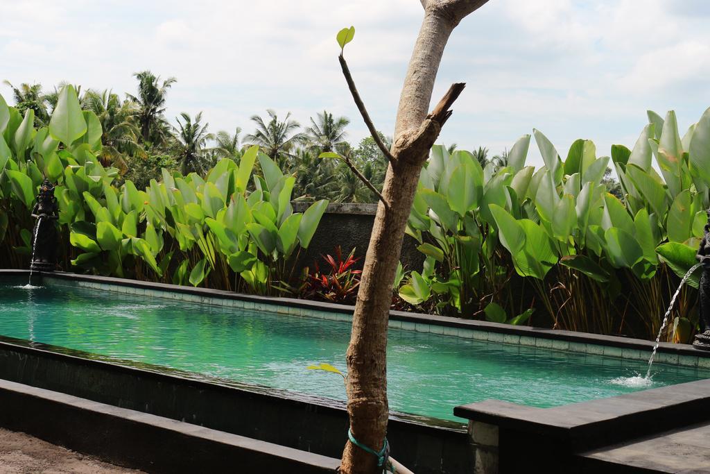 Uma Kutuh 2 Hotel Ubud  Bagian luar foto