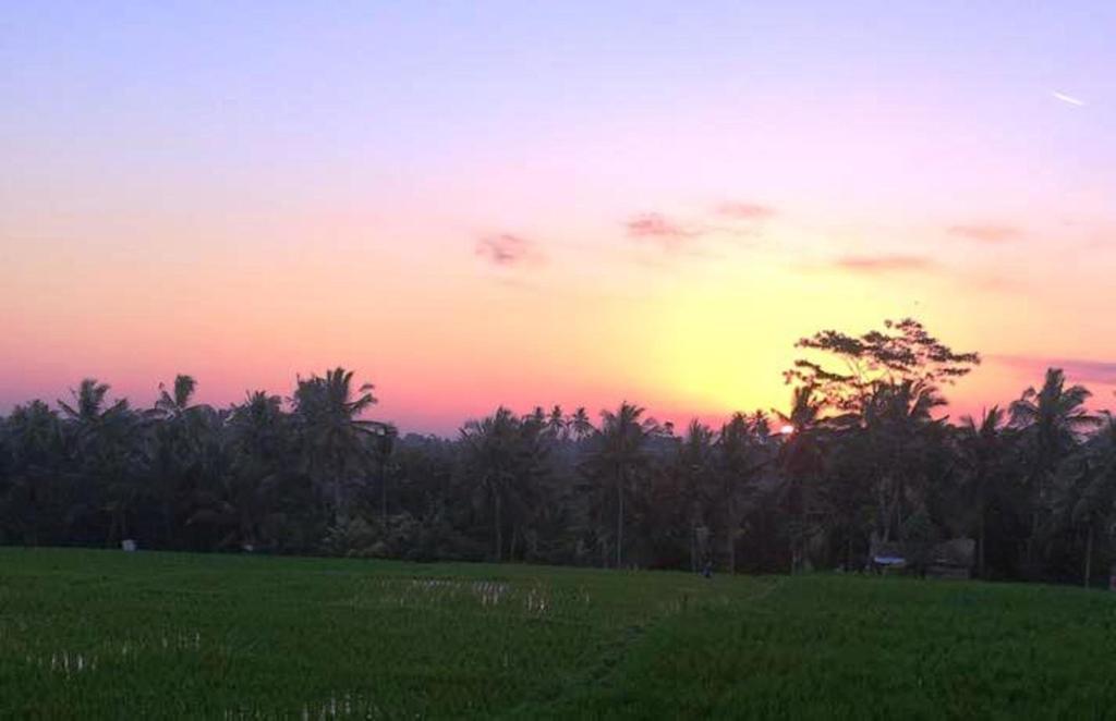 Uma Kutuh 2 Hotel Ubud  Bagian luar foto