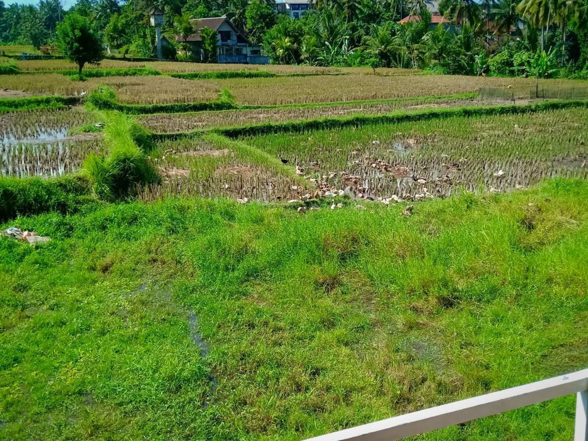 Uma Kutuh 2 Hotel Ubud  Bagian luar foto